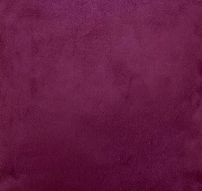 Tracollina Big Flowers