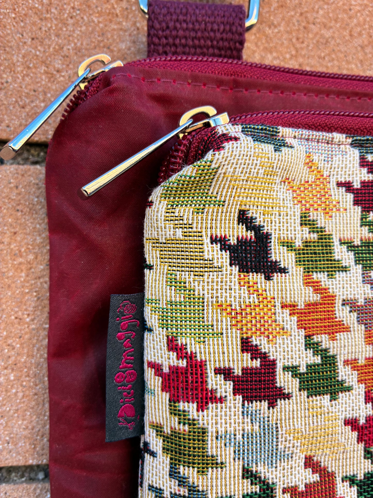 Signorina - Pied Multicolor