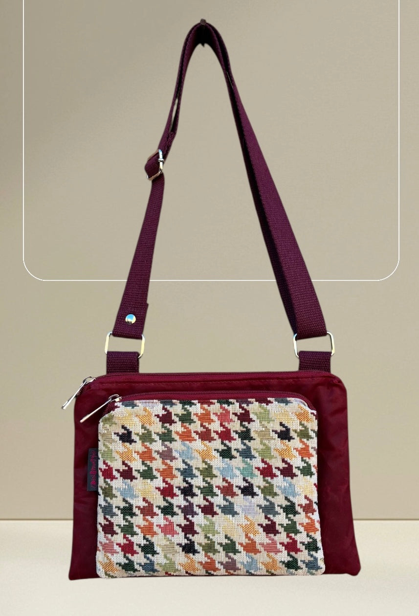 Signorina - Pied Multicolor