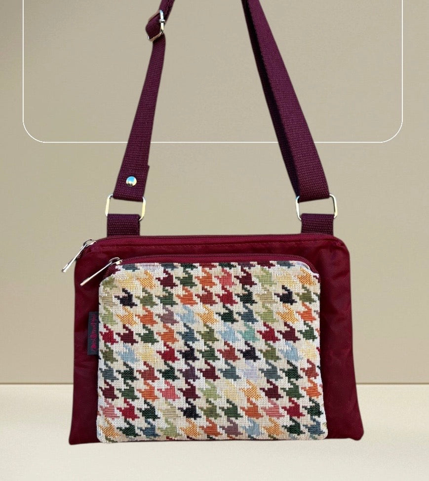 Signorina - Pied Multicolor