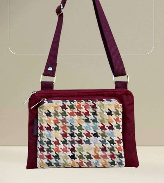 Signorina - Pied Multicolor