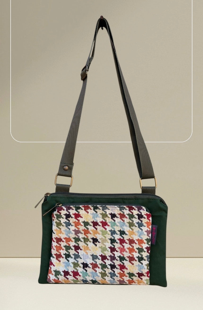 Signorina - Pied Multicolor II